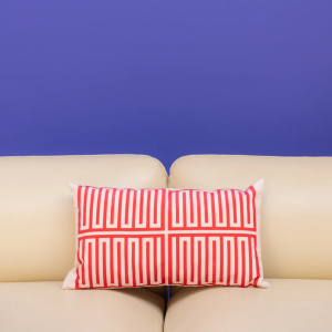 Coussin Elios rose et rouge S